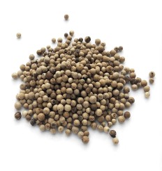Coriander Image