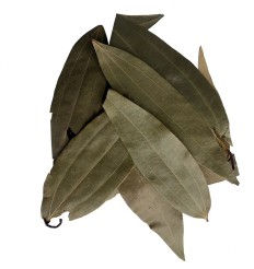 Bay Leaf Image