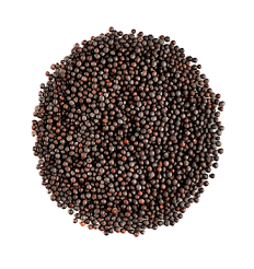 Mustard Seeds Image