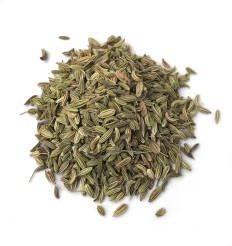 Fennel Image